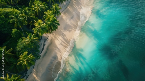 The tranquil beauty of a secluded beach is captured from above, where the lush palm canopy meets the soft white sands and the clear turquoise waters of the ocean.