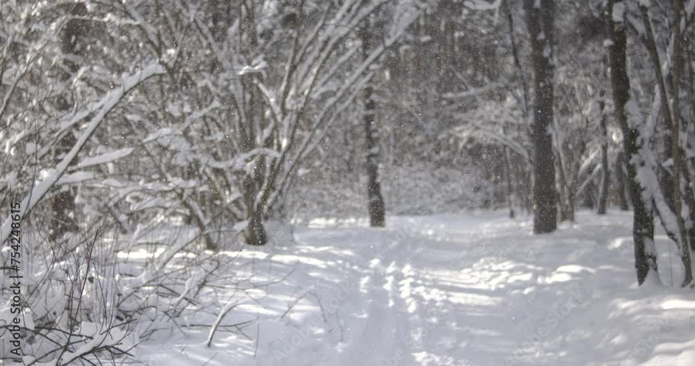Winter landscape during snowfall. Winter Christmas abstract background on super slow motion. Winter landscape during snowfall. Winter Christmas abstract background on super slow motion.