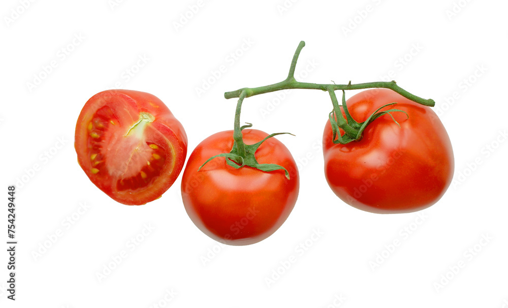 red tomatoes on a branch isolated on a white background red tomatoes on a branch isolated on a white background