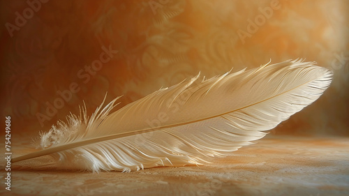 Soft white feather on a textured surface with warm background