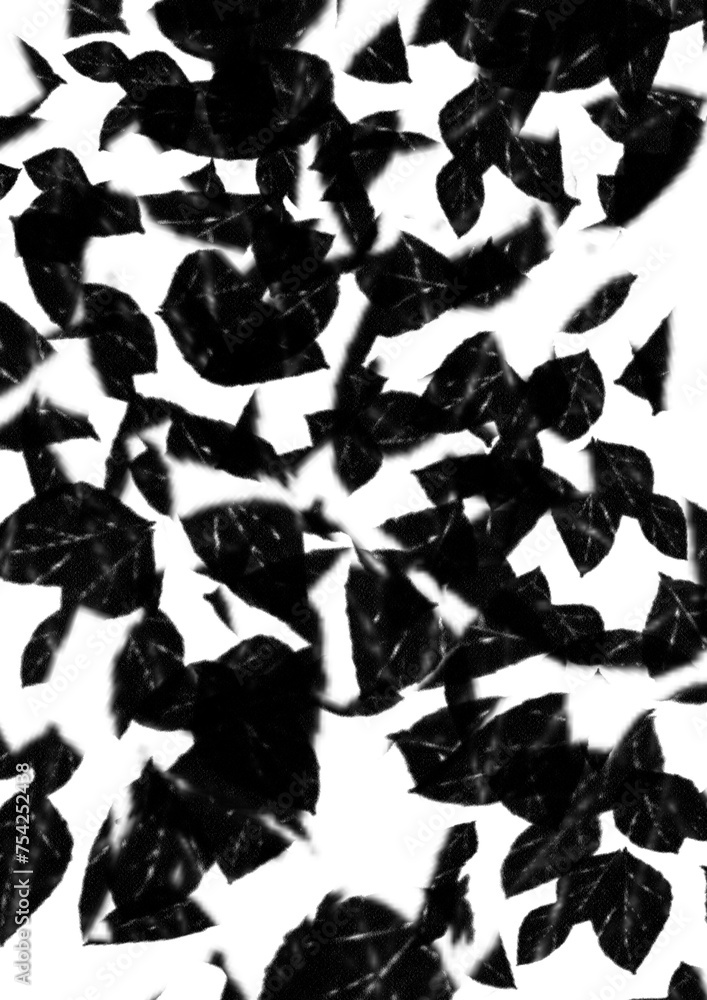 黒と白の不規則なテクスチャ 黒と白の不規則なテクスチャ