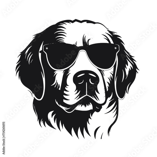 Golden retriever eyeglasses