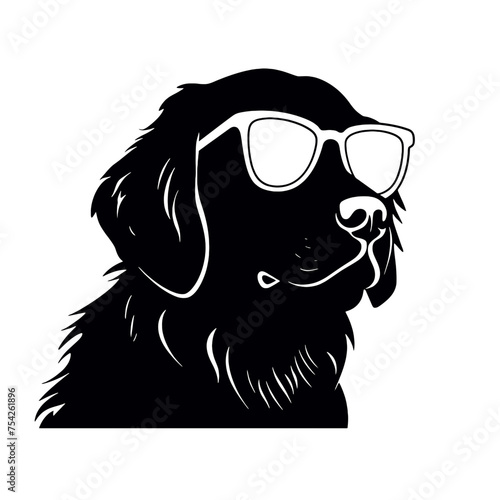 Golden retriever eyeglasses