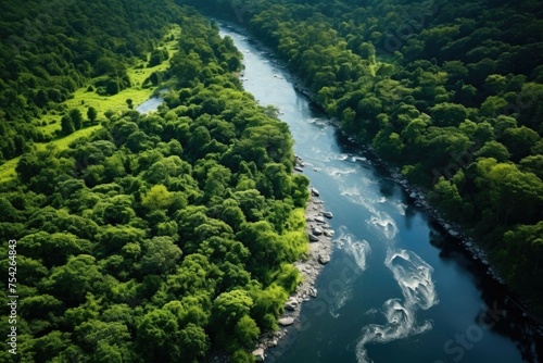 Scenic view of a river flowing through a lush green forest. Suitable for nature and outdoor themes
