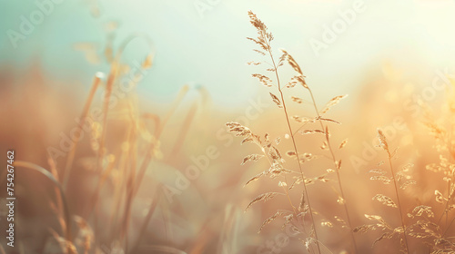 Plants with a soft-focus nature background. 