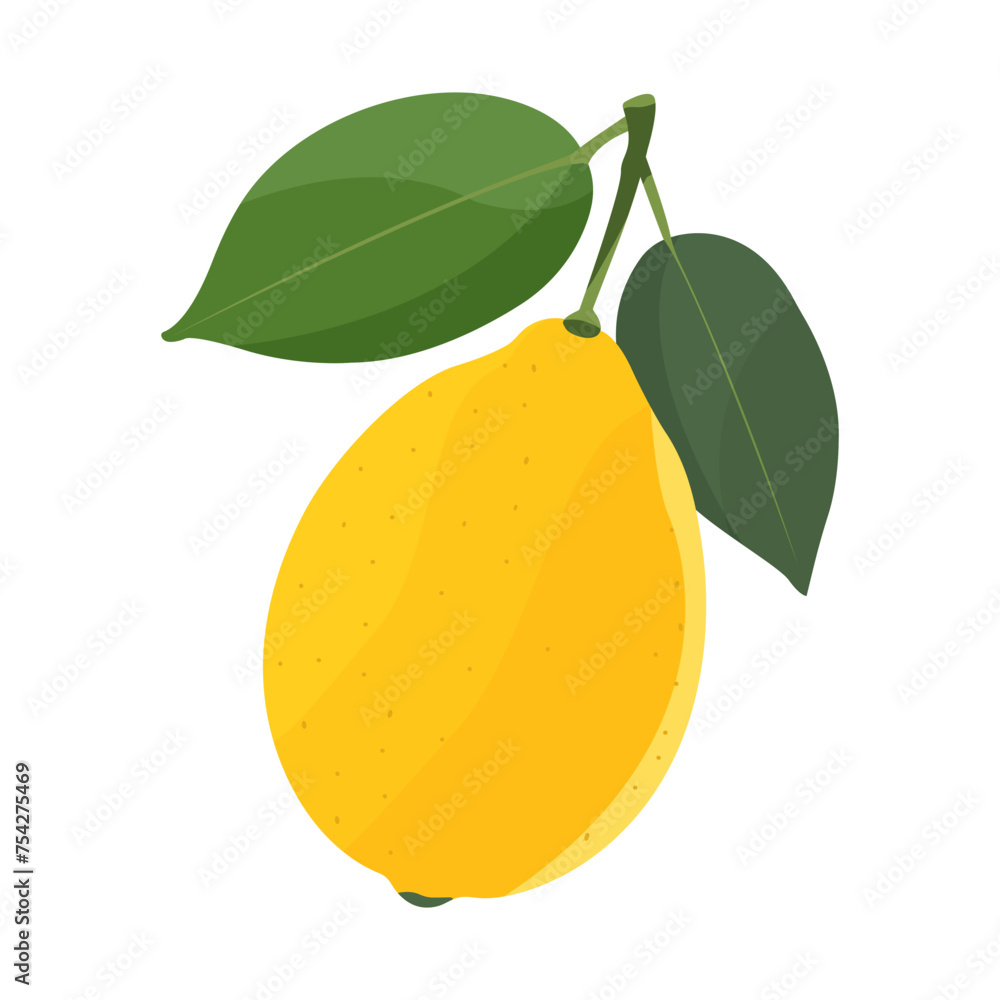 Whole lemon with green leaves . Isolated illustration on white background. Vector Whole lemon with green leaves . Isolated illustration on white background. Vector