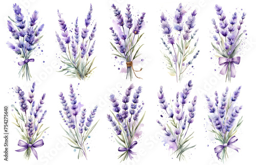 Beautiful violet lavender collection  lavender bouquet. Watercolor illustrations set isolated on white background