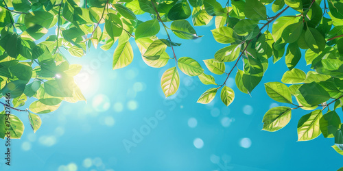 green leaves on blue sky background banner, copy space concept for nature environment day banner 