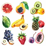 A collection of different fruits. watercolor clipart