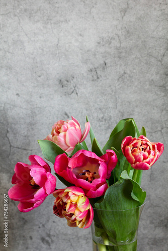Obraz na płótnie Peony multicolored tulips on a concrete background. w salonie