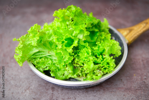 fresh green lettuce salad leaves 
