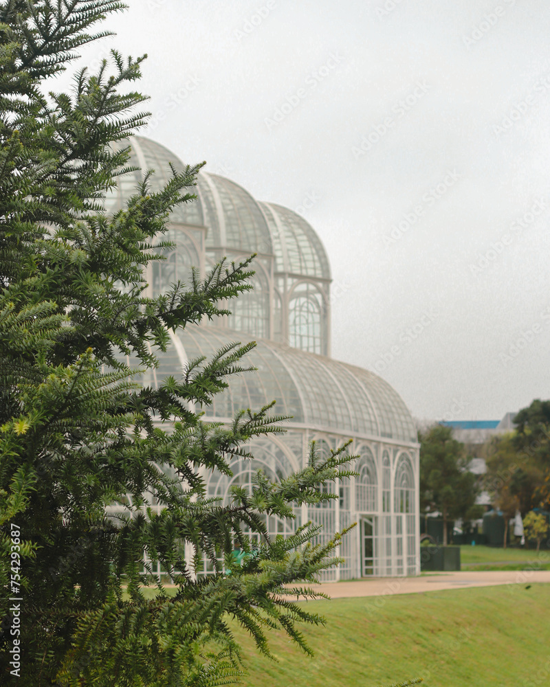 Obraz premium tree in the garden