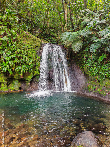 Pure nature  a waterfall with a pool in the forest. The Ecrevisses waterfalls  Cascade aux   crevisses on Guadeloupe  in the Caribbean. French Antilles  France