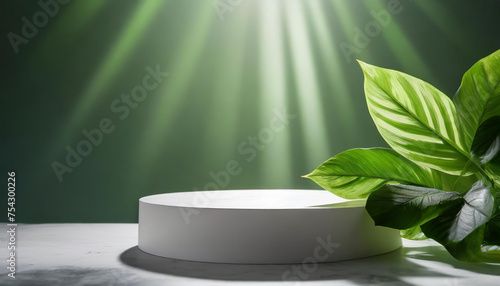 white podium with leaves and blurred green background