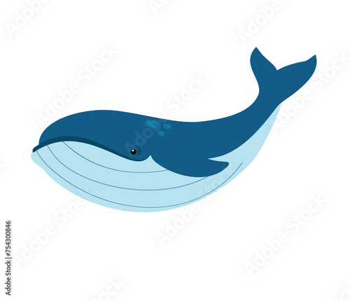 Whale. Underwater marine life