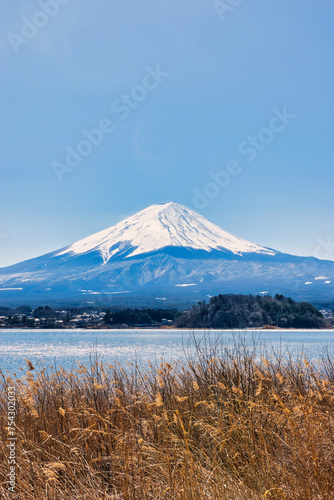 Tokyo Japan : 9 March 2024. Fuji mountain in Japan Beautiful tourist attractions that show the culture, traditions, visitors can visit every day. In the city of Tokyo. © Scotts Travel Photos