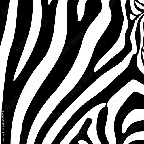 zebra, zebra skin, pattern, skin, animal, zebra pattern, zebra stripes, stripes, africa, animal pattern, zebras, abstract, animal skin, zebra patterns, zebra animal pattern, african animal, black, afr photo