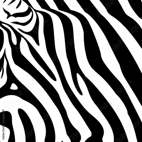 zebra, zebra skin, pattern, skin, animal, zebra pattern, zebra stripes, stripes, africa, animal pattern, zebras, abstract, animal skin, zebra patterns, zebra animal pattern, african animal, black, afr photo
