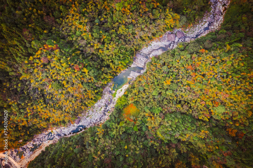 From a bird's-eye view of a forest stream