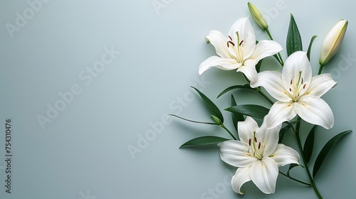 branch of white lilies flowers mourning or funeral background condolence card with copy space for text  photo