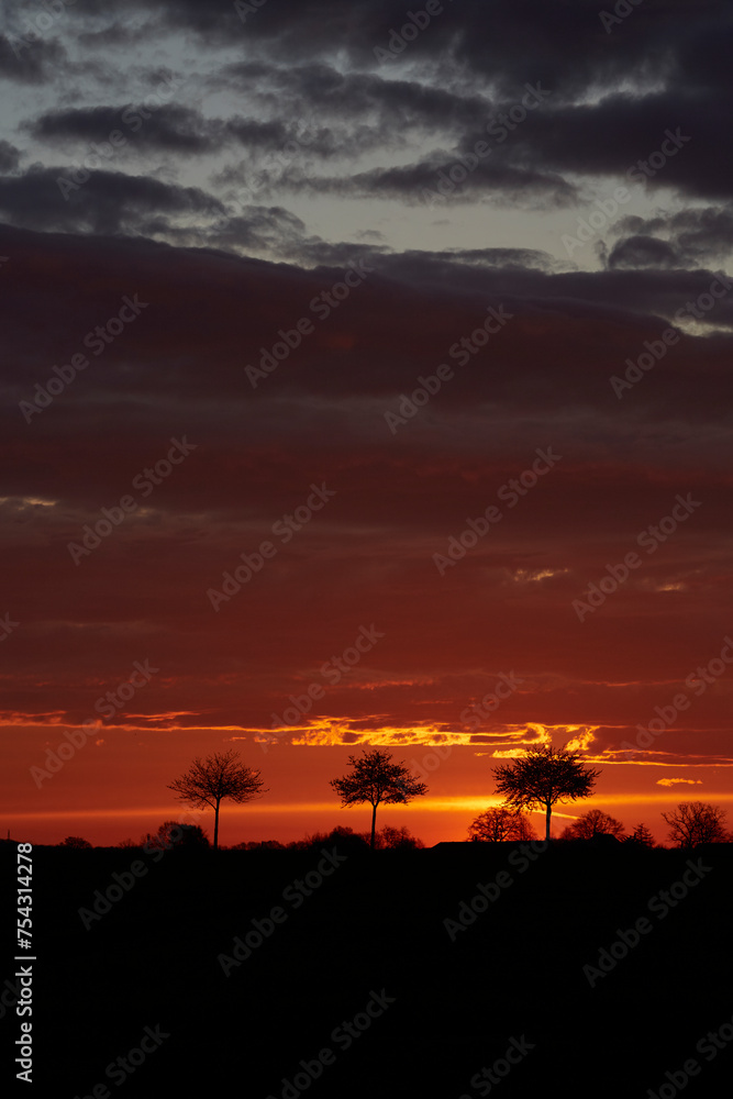 Obraz premium Sonnenaufgang im Sommer bei Erwitte-Horn, Langestrasse, Sommer 2023 