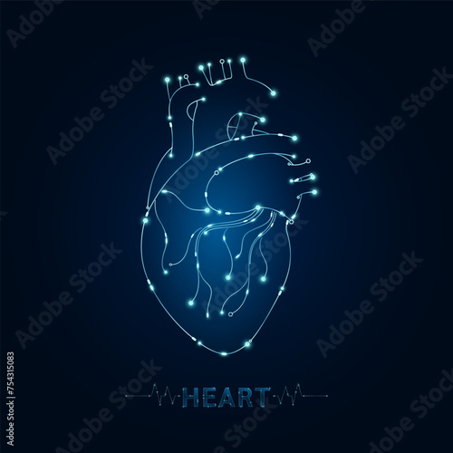 Heart human in electronic form glowing between information connecting lines. Medical science of technology digital hi tech. Futuristic digital circuit board innovative health care. Vector EPS10.