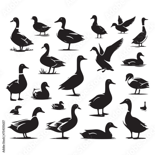 Quack Shadows: Vector Duck Silhouette Collection for Nature Designs, Waterfowl Illustrations, and Wetland-themed Artwork.
