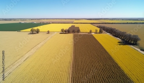 Generative AI  Farm landscape  agricultural wheat fields  beautiful countryside  country road. Nature Illustration  photorealistic top view drone  horizontal banner..