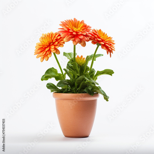 Wallpaper Mural flower in a pot on a white background сreated with Generative Ai Torontodigital.ca