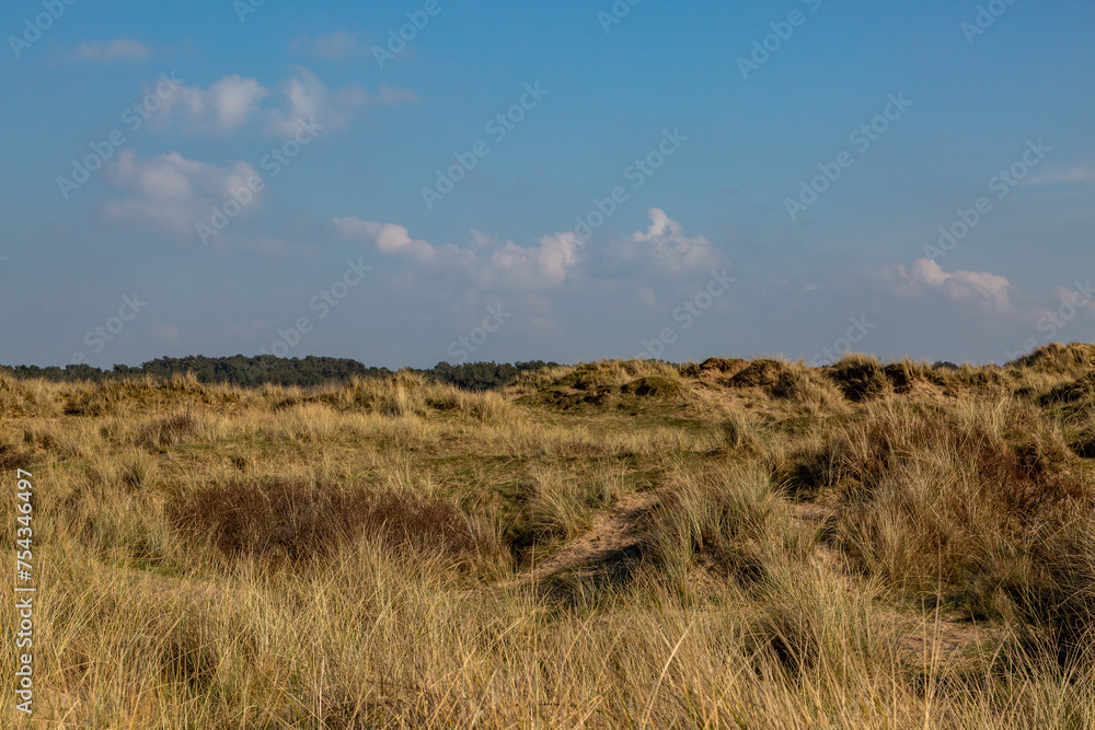 Marram grass covered sand dunes at Formby, with a blue sky overhead
