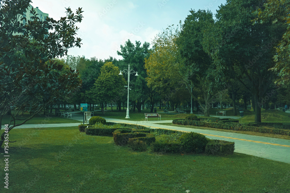 Fototapeta premium park in the city