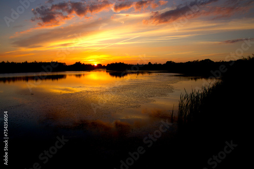 Algae and aquatic plants in the lake in the colorful sunset