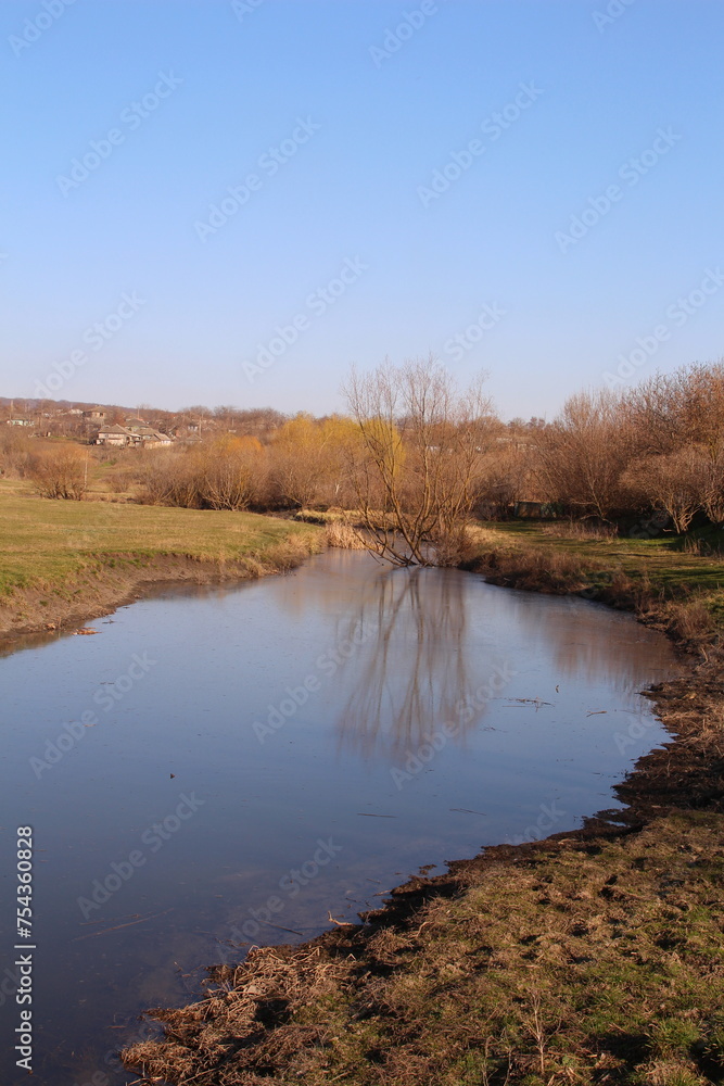 A river with trees and grass