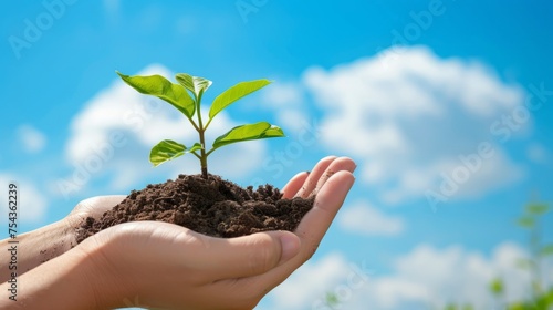 Hands cradling a young green plant with soil, symbolizing growth and sustainability, set against a vibrant blue sky with clouds.