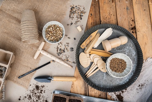 Wallpaper Mural Aussaat im Frühling, Anbau selber machen, natürlich Gemüse anpflanzen Torontodigital.ca