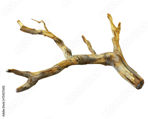 Dry old branch isolated on transparent background