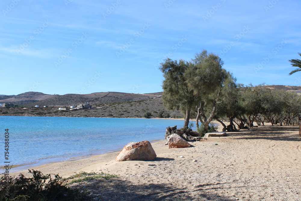 Naklejka premium Fanari Beach Antiparos mit Bäumen