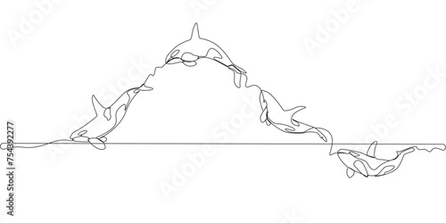 
line art of killer whale jumping in the open sea vector eps