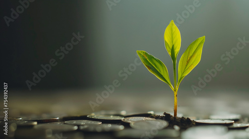 Sprout growing from a pile of coins