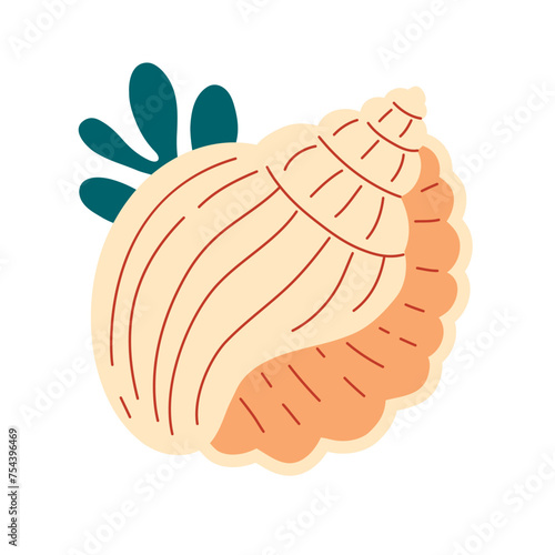 Seashell, mollusks spiral shell, underwater wildlife. Flat style