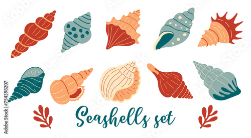 Seashells, mollusks spiral shells set, aquarium or underwater wildlife. Flat style photo