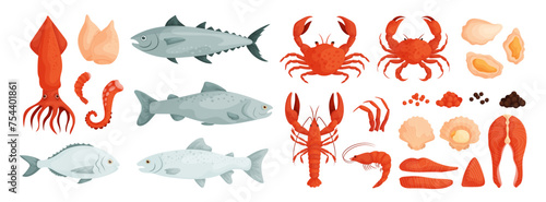 Seafood . Vector of mussels, clam, oyster. Fish salmon, trout, tuna, dorado. Shrimp, squid, octopus tentacles, lobster, crab and crayfish. Red and black caviar. Steaks and pieces of fish.