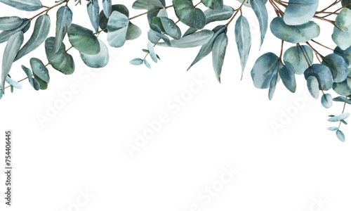 Horizontal vector greenery border made of eucalyptus branches and leaves. Hand drawn watercolor frame of green foliage.