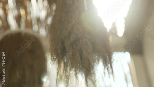 dry palm leaves against the background of sun rays