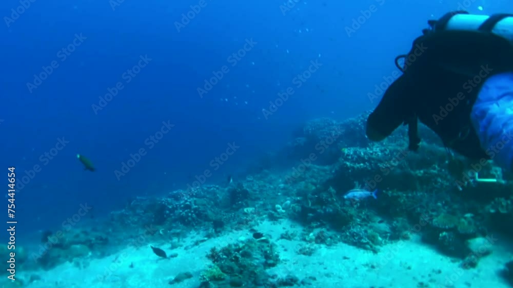 Coral reef and scuba diver Coral reef and scuba diver