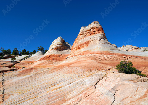 Colorful sandstone formations of the White Domes in the Canaan Mountains and clear blue sky near Hildale Utah USA photo