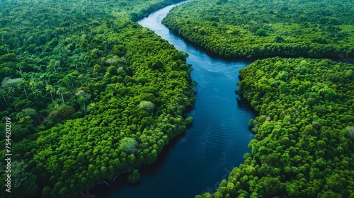 An aerial shot of winding rivers cutting through dense forests