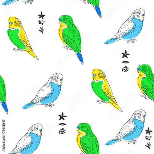 Vector seamless pattern with budgies isolated on white. Hand-drawn endless texture with parrots in  sketch style.
