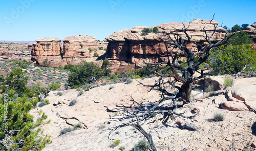 The Neddles, Canyolands National Park, Utah, United States photo