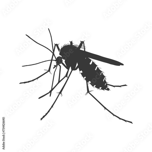 Silhouette mosquito animal black color only full body © NikahGeh